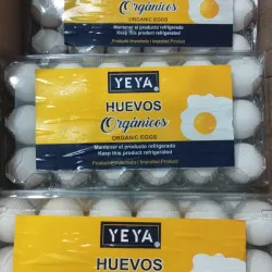Filin de 18 huevos