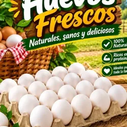 Huevo filis