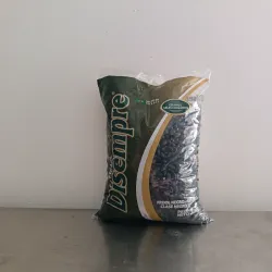 Frijol negro Disempre