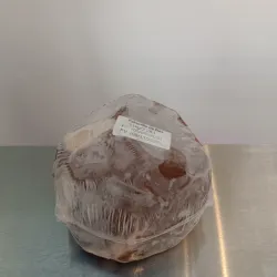 Palomilla de res
