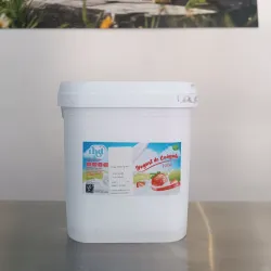 Yogurt rhd fresa