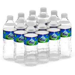Agua Mineral Ciego Montero 500 ml