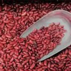 Frijol Colorado