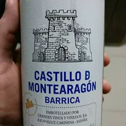 Castillo Monte Aragón