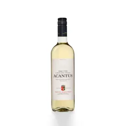 V/B Acantus