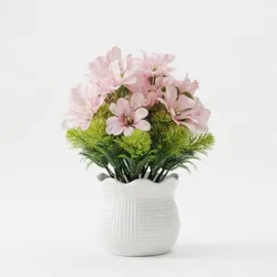 Planta small