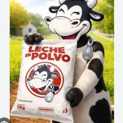 Leche en polvo