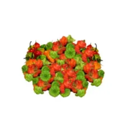 AJÍES CACHÚCHA 3LB