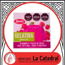 Gelatina de 40 gr (APM)