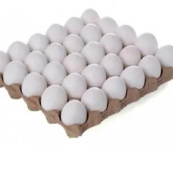 Huevos Blancos