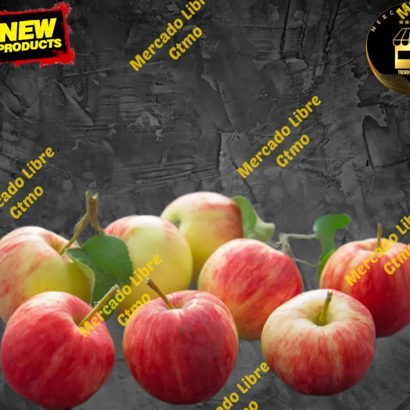 Manzanas 6u