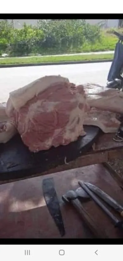 Carne de cerdo cruda 