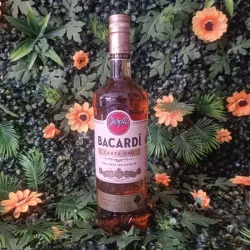 Bacardí