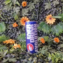Bebida energética EnerDrink Evolution