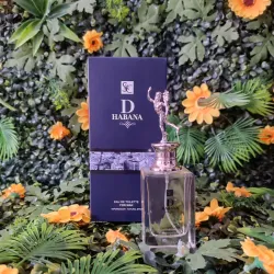 D Habana EAU de Toilette For Man