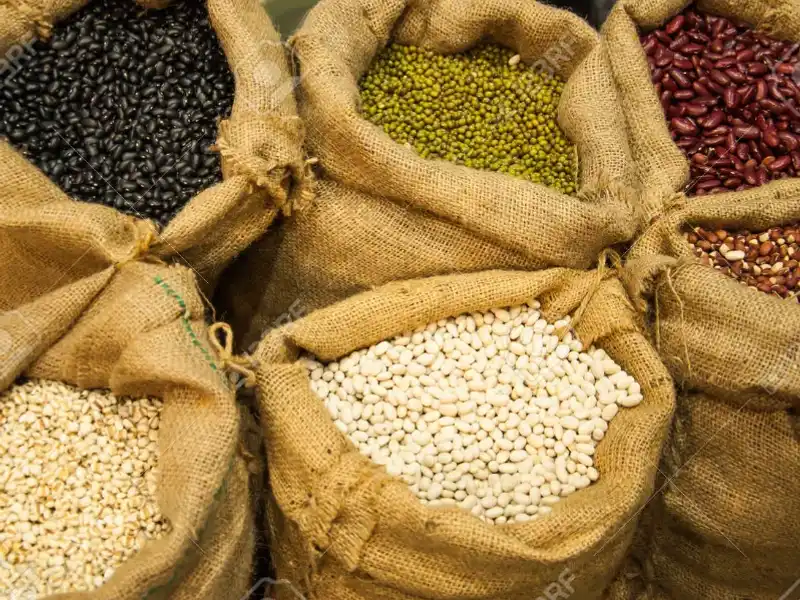 GRANOS, ARROZ y HARINA