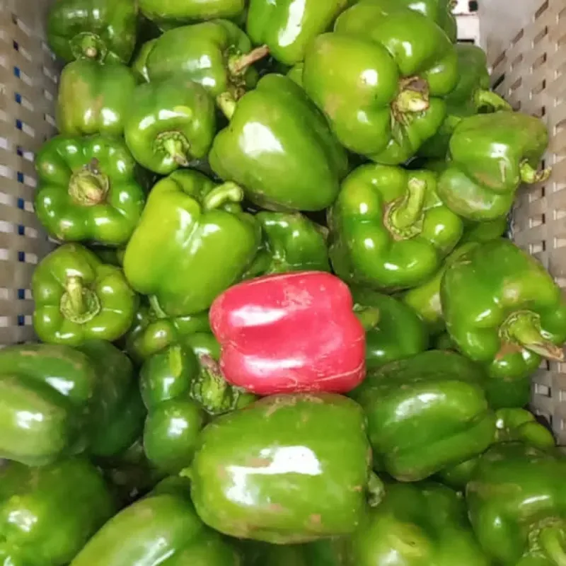 Ají Pimiento