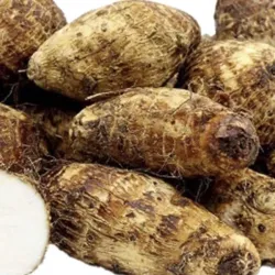 Malanga