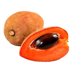 Mamey Colorado