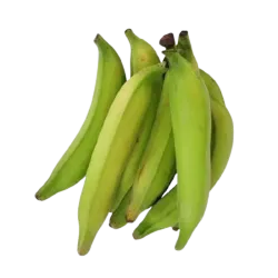 Platano Macho
