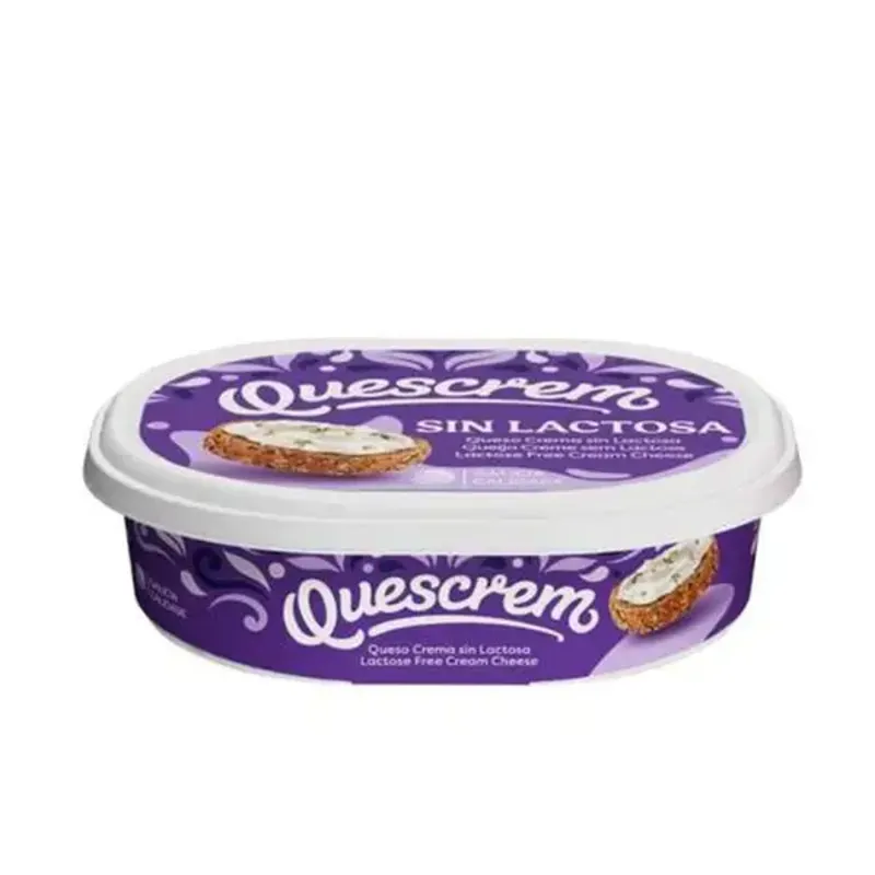 QUESO CREMA SIN LACTOSA