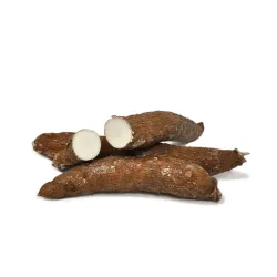 Yuca