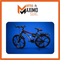 Bicicleta de Adulto