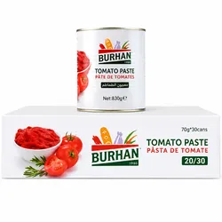 Caja de Pasta de Tomate Burhan