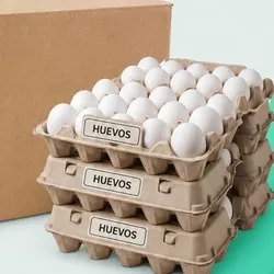 Huevos (Cajón de 12 Fili)