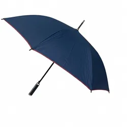 Paragua punta de hierro