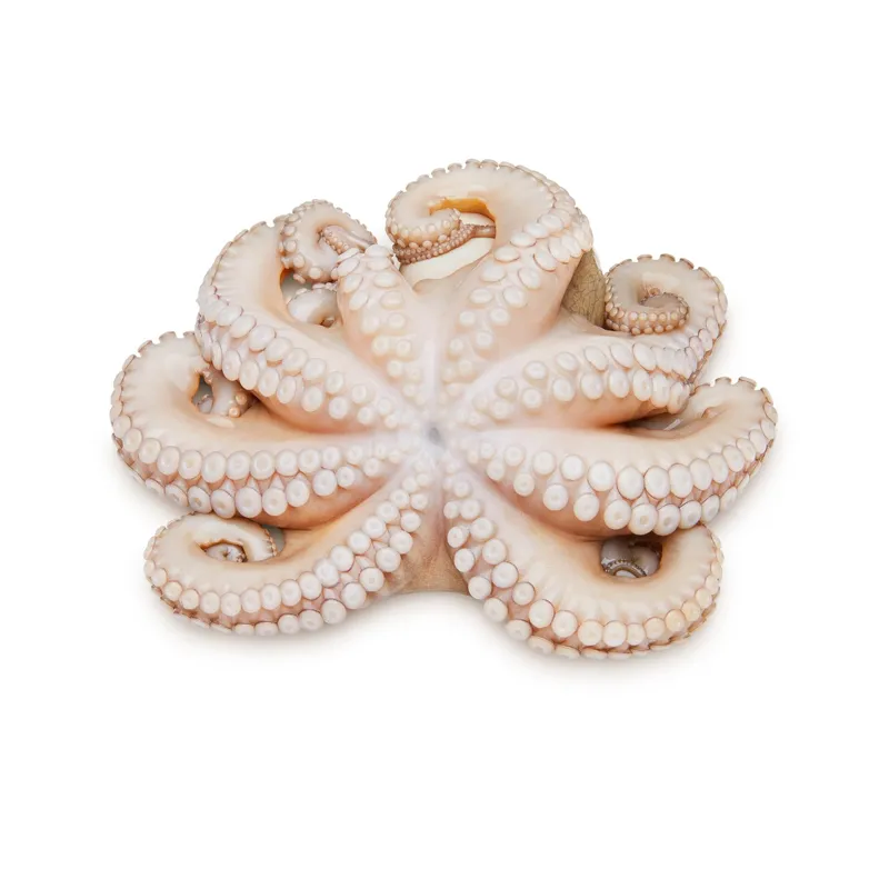 Pulpo (lb)