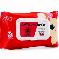 Toallitas húmedas 100 unidades