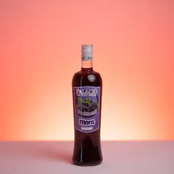 Palacio de San Ginés Mora