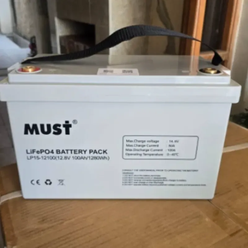 Batería 12.8 volt 100 amperes 