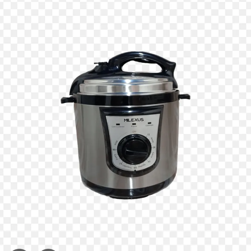 Olla multiproposito 