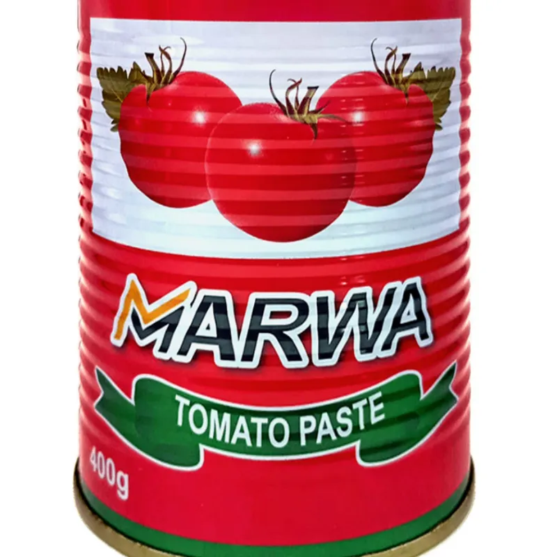 Pasta de tomate 400g 