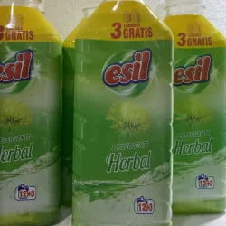 Esil