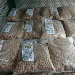 Garbanzo