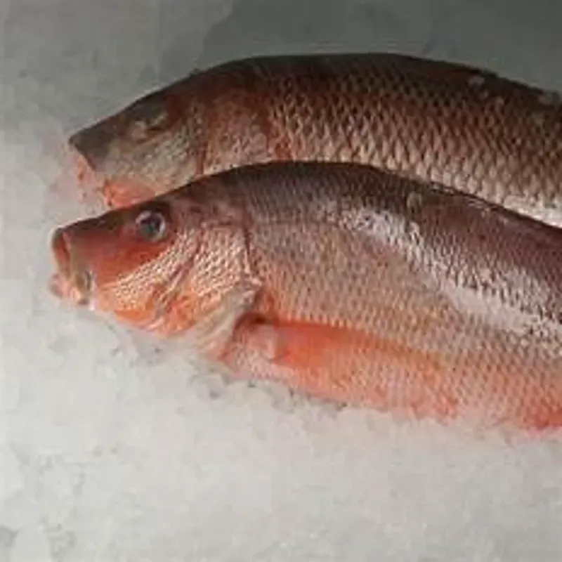 Pescado Pargo, entero