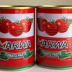 Pasta de tomate