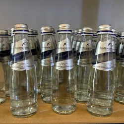 Agua san benedeto Gaseada 250ml