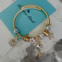 Pulsera de acero con dijes