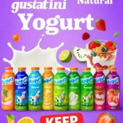 Yogurt Gustatini 500ml