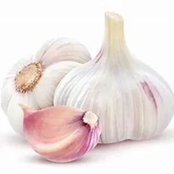 Cabeza de Ajo Chileno (u)