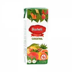 Jugo Badelli Coctel (200ml)