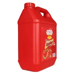 Pomo de Ketchup Bellazza (5kg)