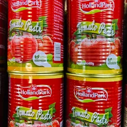 PASTA DE TOMATE HOLLANDPARK 800G