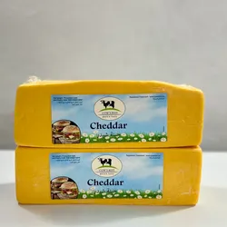 Queso CHeddar 2.5KG