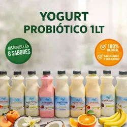 Yogurt Probiótico 1Lt