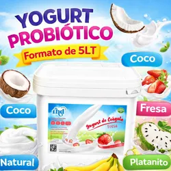 Yogurt Probiótico 5LT